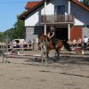 Babie Lato z Hucułami 2015